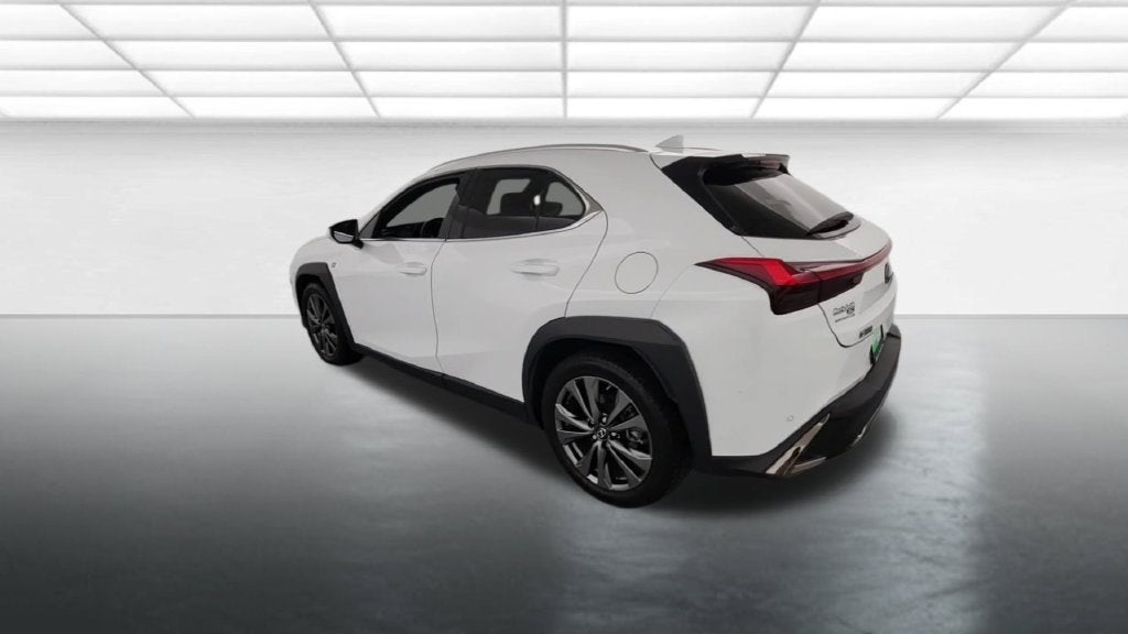 2019 Lexus UX 200 F SPORT